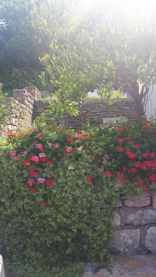 Vila Lucice Petrovac Exteriör bild